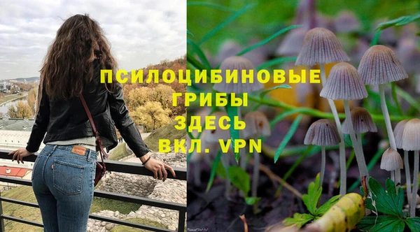 кокс Алзамай