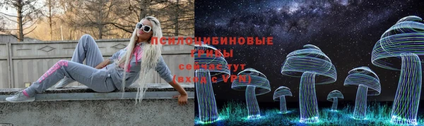 кокс Алзамай