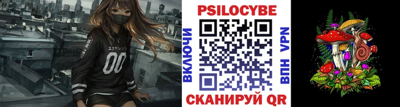 это наркотические препараты  Строитель  Галлюциногенные грибы мицелий 