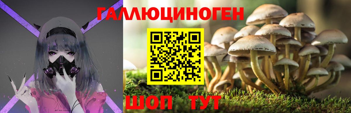 что такое   Вход с VPN  Строитель  Псилоцибиновые грибы прущие грибы 